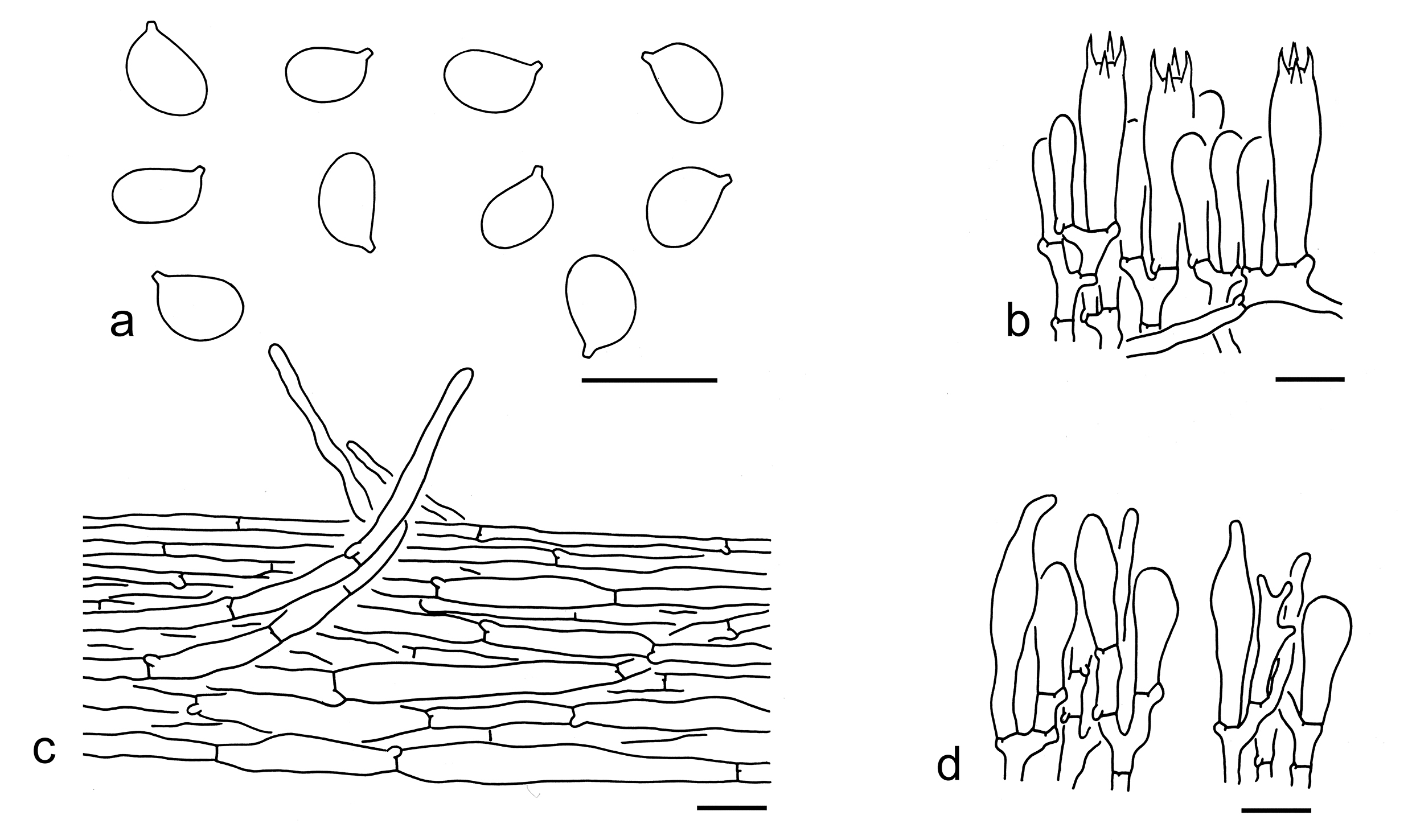 Figure 78